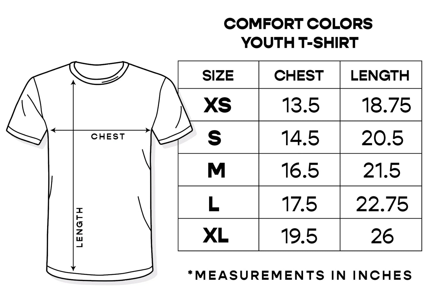 God’s Silliest Goose Kids Tee