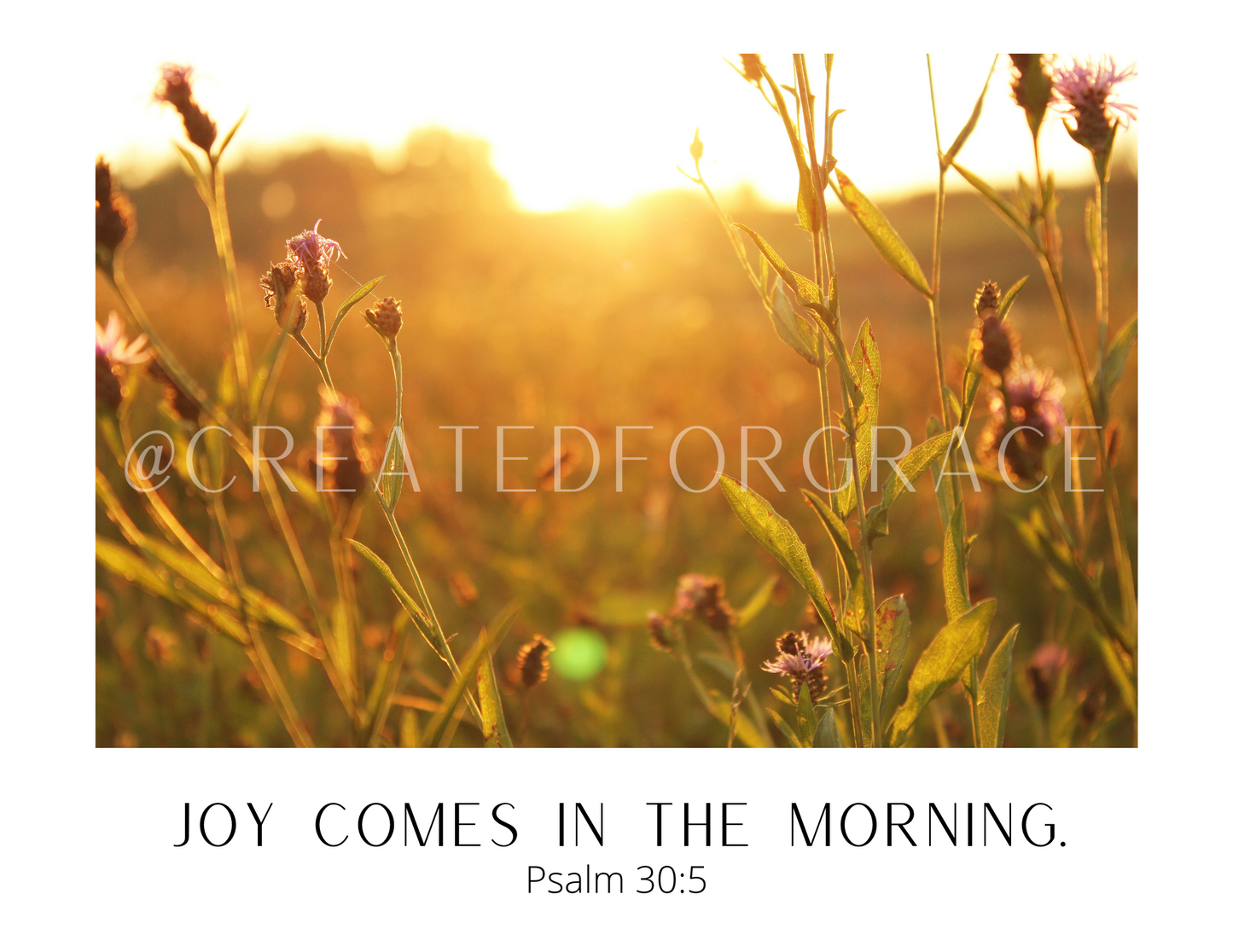 Joy Comes In The Morning