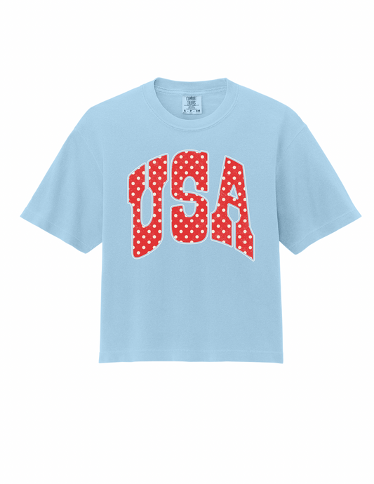 USA shirt