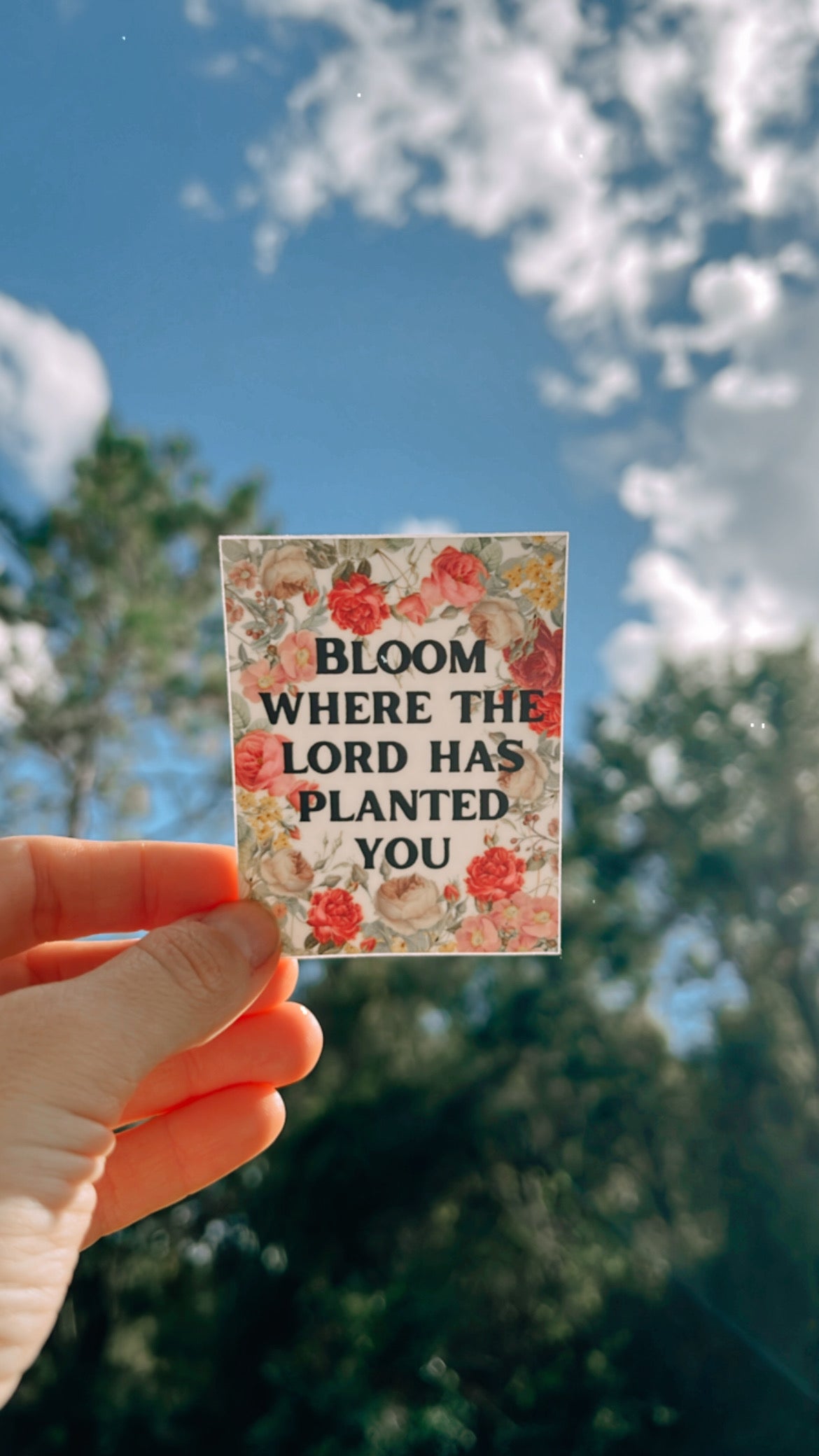 Bloom where the lord has planted you sticker