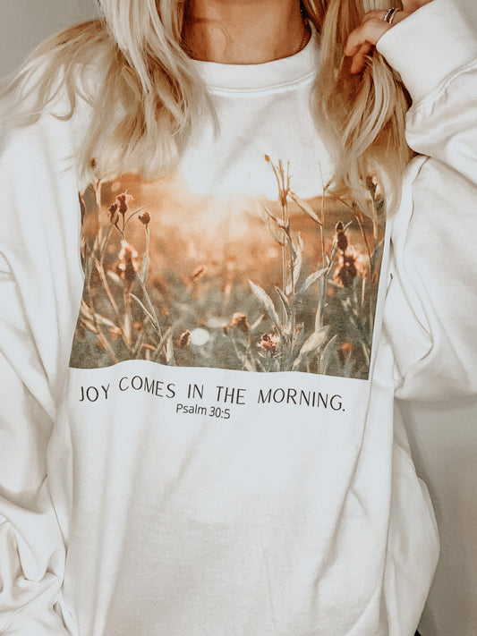Joy Comes In The Morning
